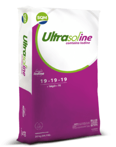 ultrasoline-19-19-191MgOTE-saco-3d-china