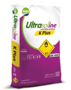 ultrasoline-k-plus-india-25kg-saco-3d