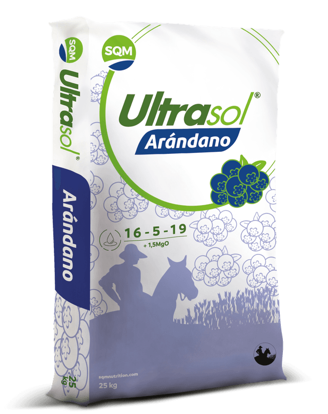 E-10107 Saco 25kg CORP Ultrasol Arandano IB-EU 3D