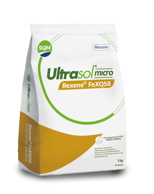 ultrasol-micro-rexene-fexq58-5kg-saco-3d-es2501v3