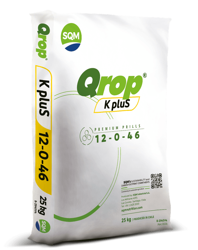 B-2945V4 Saco 25kg CORP Qrop K Plus EU 3D