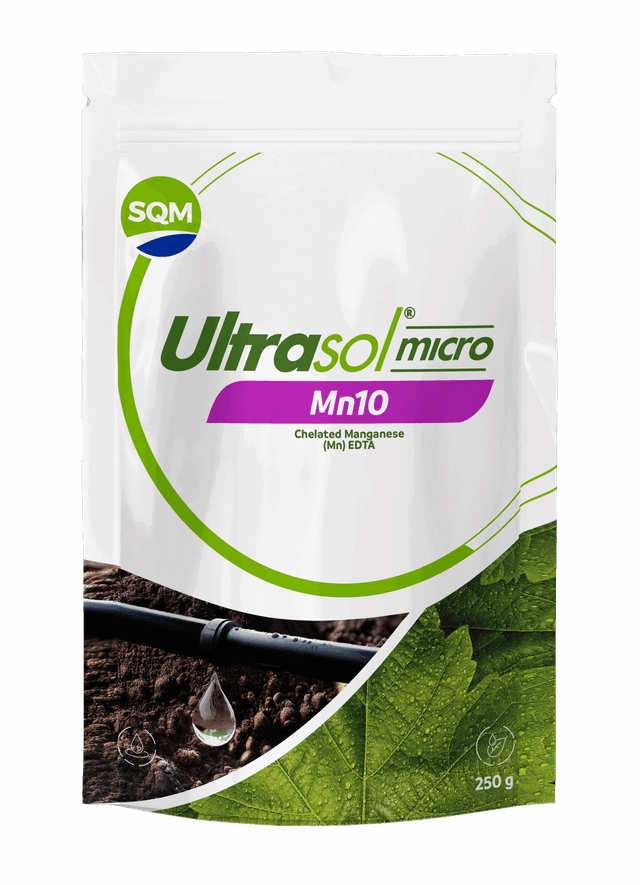 Saco 250g CORP Ultrasol micro Mn10 IND v1 3D
