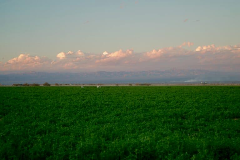 DSC02184