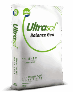 Saco 25kg CORP Ultrasol Balance Gen EU 3D (1)
