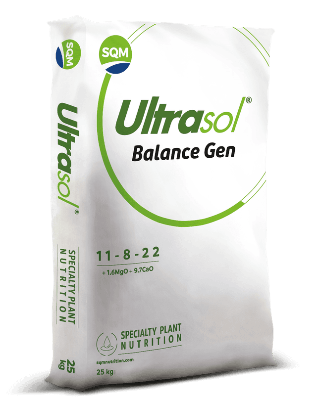 Saco 25kg CORP Ultrasol Balance Gen EU 3D (1)