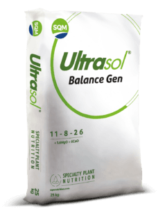 Saco 25kg CORP Ultrasol Balance Gen EU 3D (2)