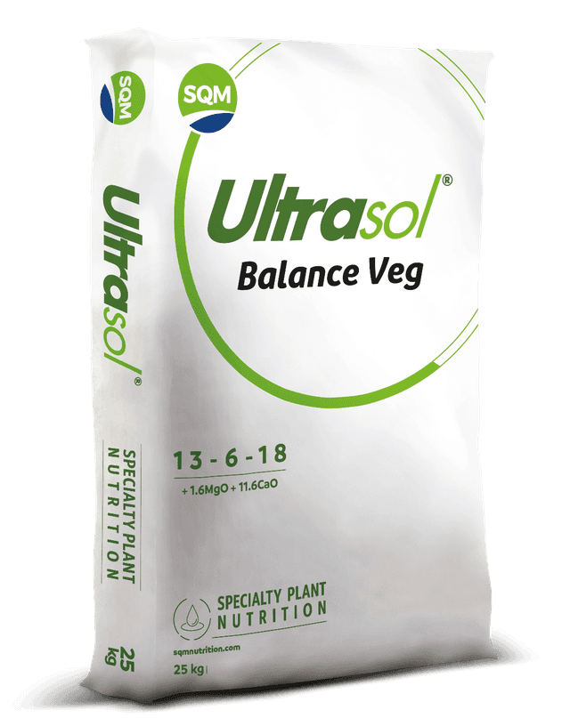 Saco 25kg CORP Ultrasol Balance Veg EU 3D (1)