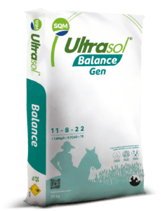 Saco 3D – Ultrasol® Balance Gen 11-8-22+1.6MgO+9.7CaO